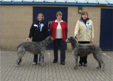 East Kent Canine Society 2010 Open Show